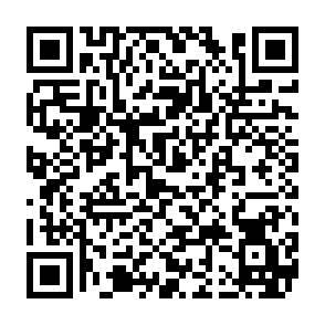 Miolab Informationsdieb QR code