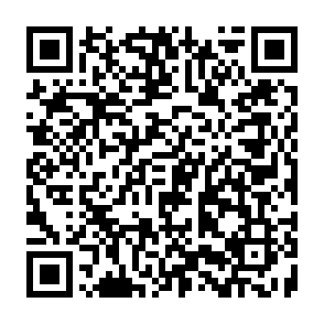 Monkey virus QR code