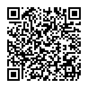 Montage-Virus QR code