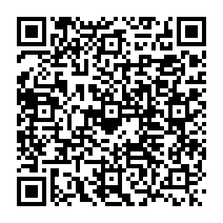 WorkFaze Browserentführer QR code