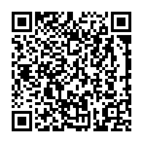 Needle Stealer Malware QR code