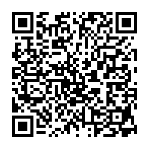 Net-Virus QR code