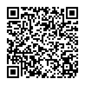 Werbung von netchainspan.com QR code