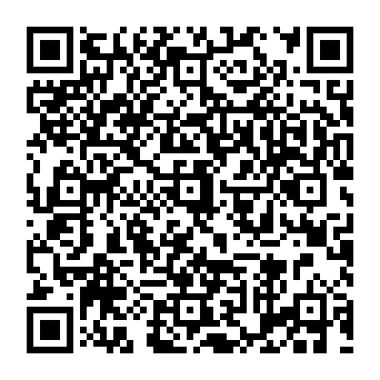Netflix - Irregular Account Activity Phishing-Betrug QR code