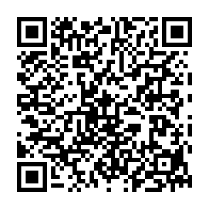 NimDoor dieb QR code