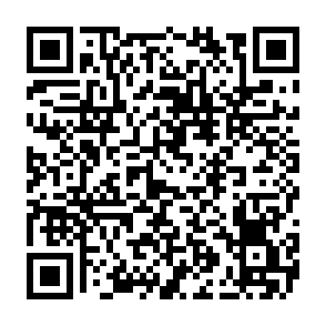 NOCT virus QR code