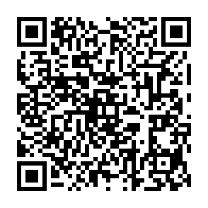 NoMatter-Virus QR code