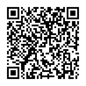 OmniStealer Informationsdiebstahlprogramm QR code