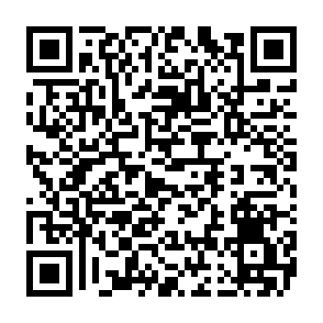 PamStealer-Virus QR code