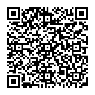 Payment Receipt Phishing-Betrug QR code