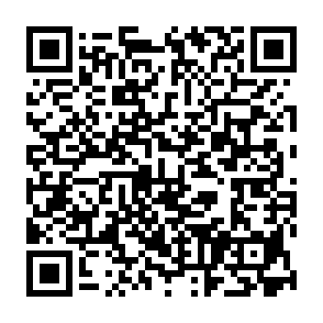 Pdf (2) Virus QR code