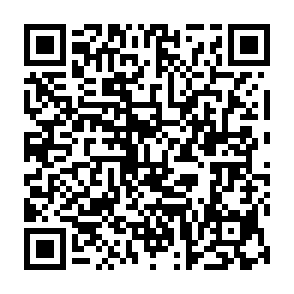 PhantomStealer Informationsdieb QR code
