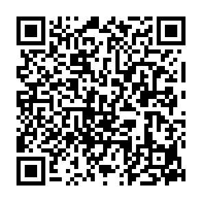 Werbung von pointgrowthlab.com QR code