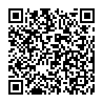 Punisher Miner Virus QR code