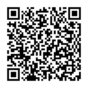 PureHVNC fernzugriffstrojaner QR code