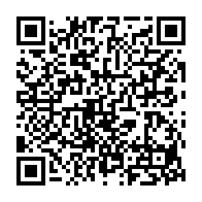 Qv Virus QR code