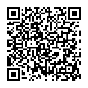 Raven Informationsdieb QR code