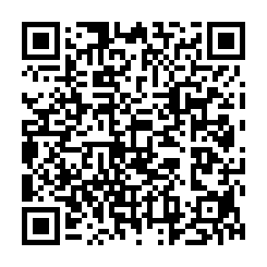 Regulus-Virus QR code
