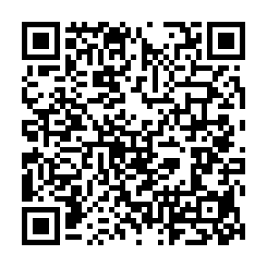 Remus Informationsdieb QR code