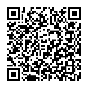 REVSTEALER Infostealer QR code