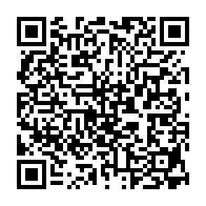 Rex Virus QR code
