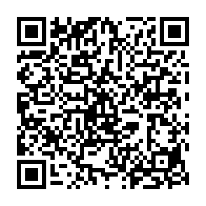 RIED Virus QR code
