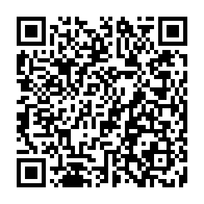 SantaStealer Informationsdieb QR code