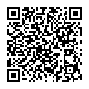 ShareX Airdrop Krypto-Drainer QR code