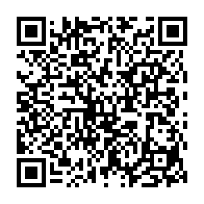 SharkStealer Informationsdieb QR code