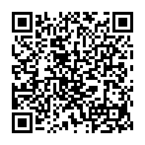 SHub Informationsdieb QR code