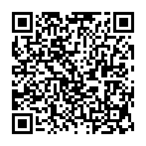 SHUYAL informationdieb QR code