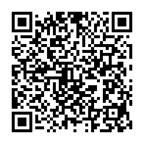 SnakeBiteAgent Remote-Access-Trojaner QR code