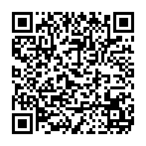 SnappyClient Fernzugriffs-Trojaner QR code