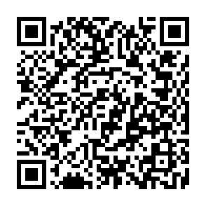 SoupDealer malware loader QR code