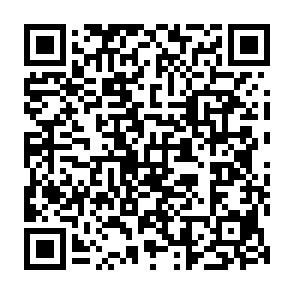 SynkLoader Virus QR code