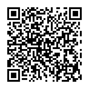 Sysdoz virus QR code
