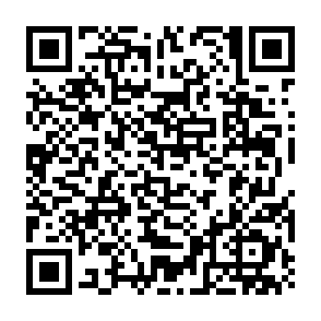 Taro virus QR code