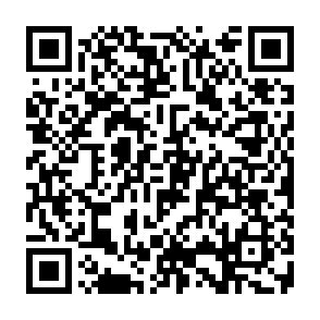 TELEPUZ-Virus QR code