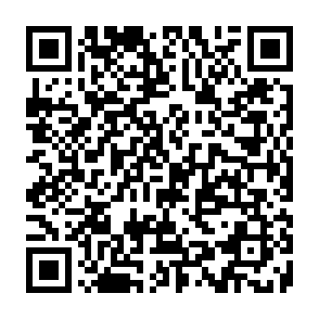 Torg Informationsdieb QR code