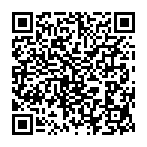 Ultimate Informationsdieb QR code