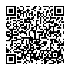 Vile Virus QR code