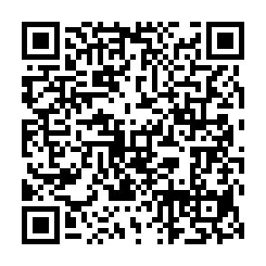 VoidStealer Informationsdieb QR code