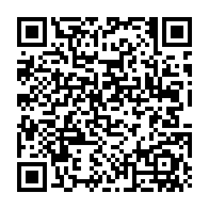 VVS Informationsdieb QR code