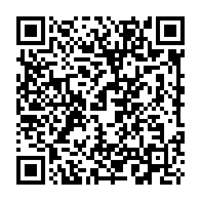 WormLocker virus QR code