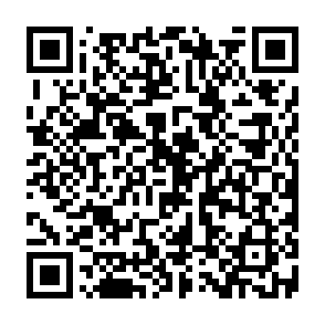 xAI Token Launch betrugswebsite QR code