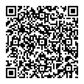 Your Domain Has Incorrect DNS Settings Phishing-Betrug QR code
