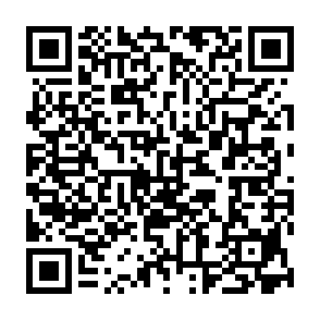 Zeo virus QR code