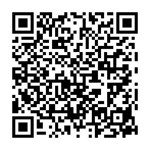 Zollo virus QR code