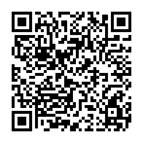 ZuRu hintertür QR code