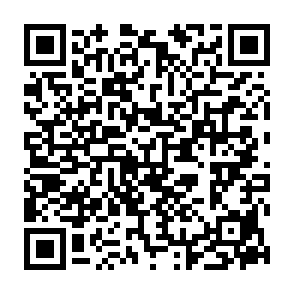Zynex Virus QR code